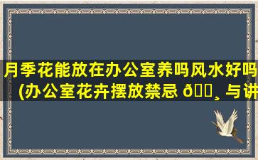 月季花能放在办公室养吗风水好吗(办公室花卉摆放禁忌 🌸 与讲 🦈 究)